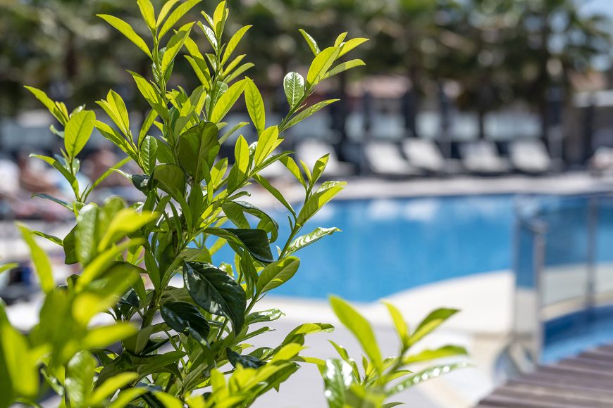 Dionysos Hotel & Suites
