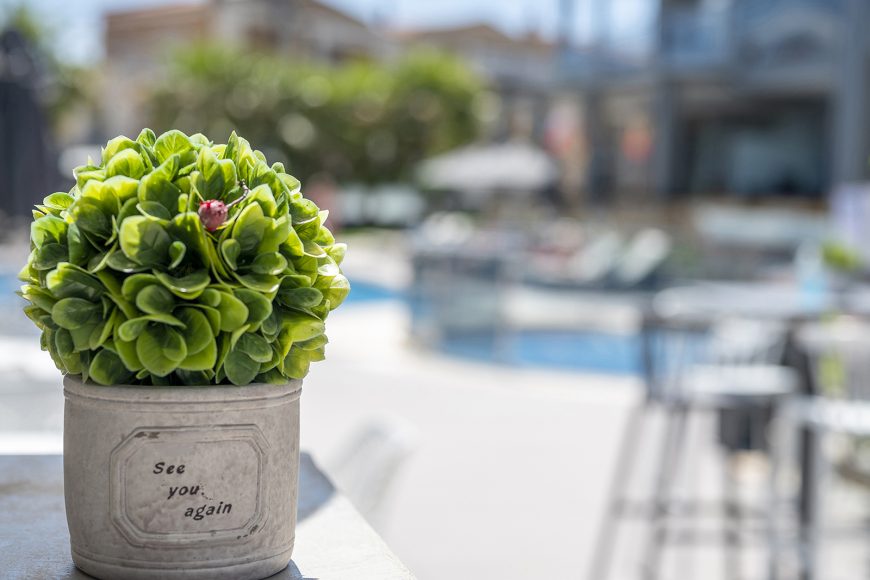 Dionysos Hotel & Suites