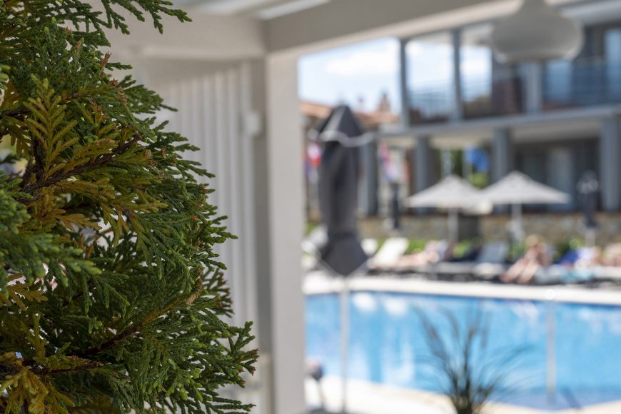 Dionysos Hotel & Suites