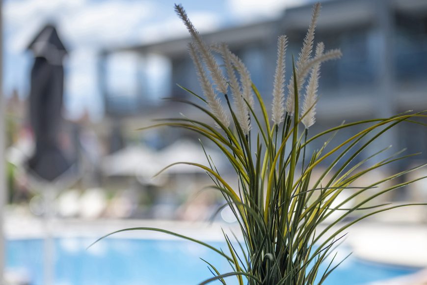 Dionysos Hotel & Suites
