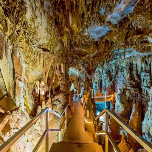 Petralona’s Cave