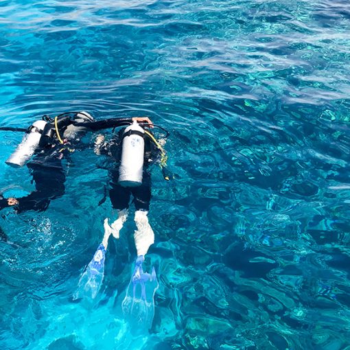 Halkidiki’s Underwater Heaven: A playground for all Divers